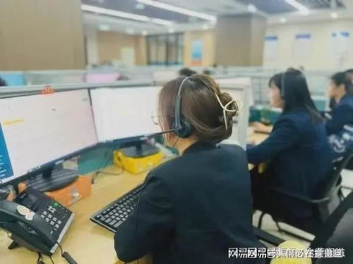 数字技术赋能金银花消费升级 从田头到指尖的极致体验